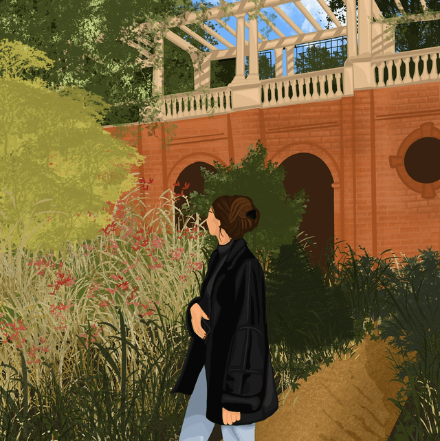 Custom Detailed Illustrated Portrait