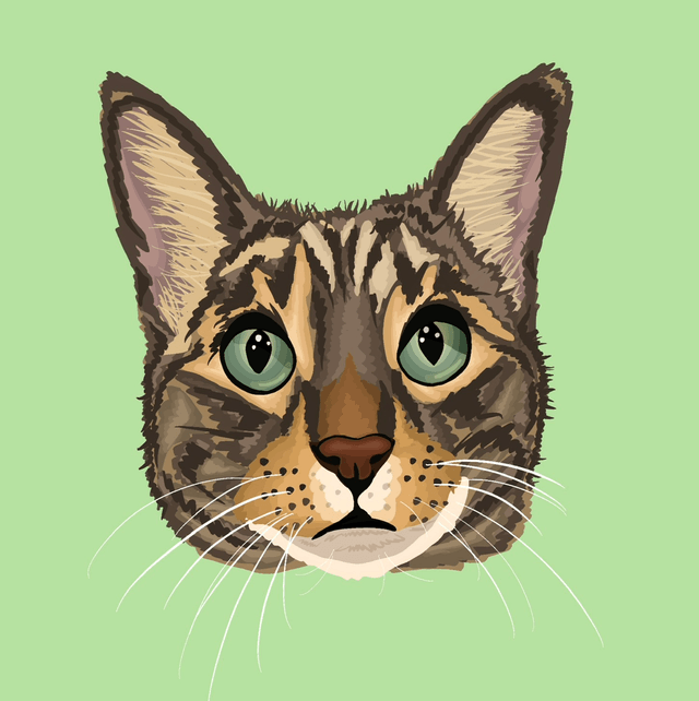 Custom Detailed Illustrated Pet Portrait