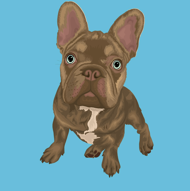 Custom Detailed Illustrated Portrait